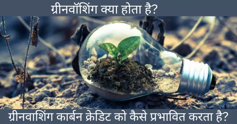 ग्रीनवॉशिंग क्या है? | What Is Greenwashing?