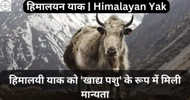 हिमालयन याक