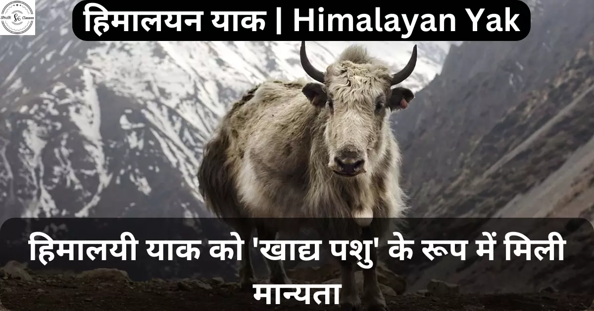 हिमालयन याक